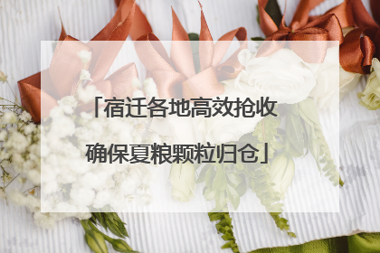 宿迁各地高效抢收 确保夏粮颗粒归仓