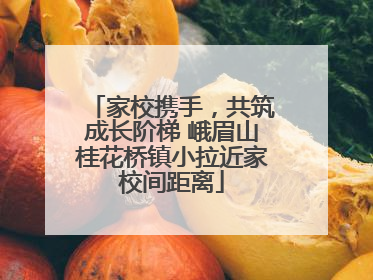 家校携手，共筑成长阶梯 峨眉山桂花桥镇小拉近家校间距离