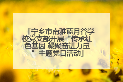 宁乡市南雅蓝月谷学校党支部开展“传承红色基因 凝聚奋进力量”主题党日活动