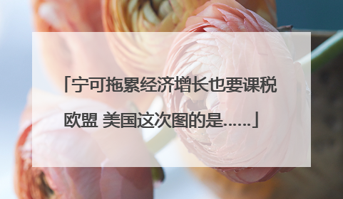 宁可拖累经济增长也要课税欧盟 美国这次图的是……
