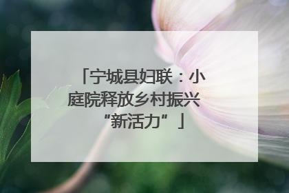 宁城县妇联：小庭院释放乡村振兴“新活力”