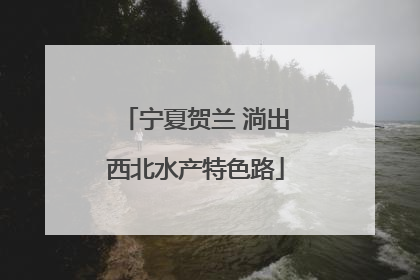 宁夏贺兰 淌出西北水产特色路