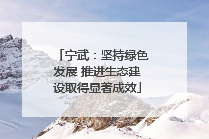 宁武：坚持绿色发展 推进生态建设取得显著成效