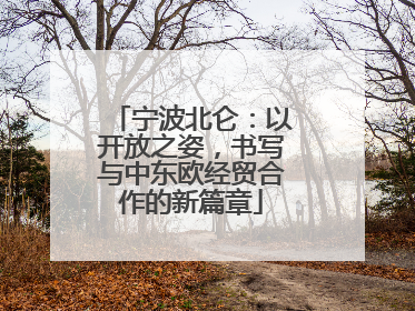 宁波北仑：以开放之姿，书写与中东欧经贸合作的新篇章
