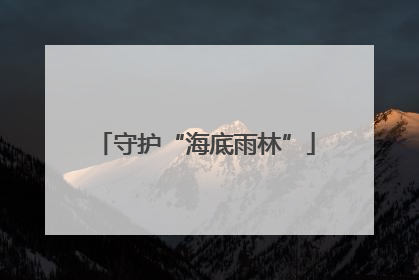 守护“海底雨林”