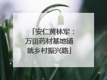安仁黄林军：万亩药材基地铺就乡村振兴路