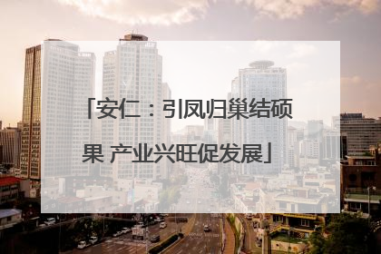 安仁：引凤归巢结硕果 产业兴旺促发展