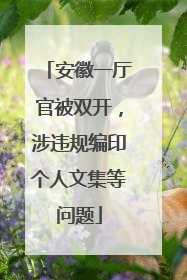 安徽一厅官被双开，涉违规编印个人文集等问题