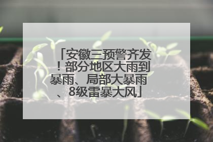 安徽三预警齐发！部分地区大雨到暴雨、局部大暴雨、8级雷暴大风
