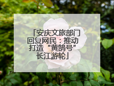 安庆文旅部门回复网民：推动打造“黄鹄号”长江游轮