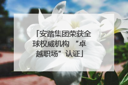 安踏集团荣获全球权威机构 “卓越职场”认证