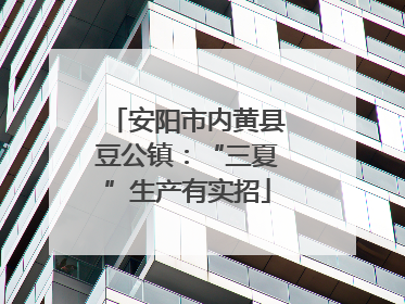 安阳市内黄县豆公镇：“三夏”生产有实招