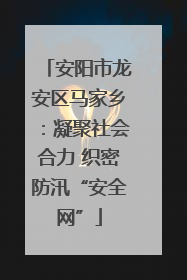 安阳市龙安区马家乡：凝聚社会合力 织密防汛“安全网”