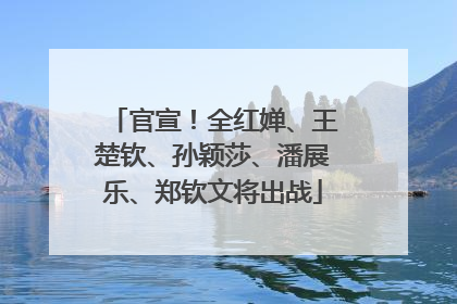 官宣！全红婵、王楚钦、孙颖莎、潘展乐、郑钦文将出战