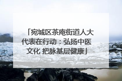 宛城区茶庵街道人大代表在行动：弘扬中医文化 把脉基层健康