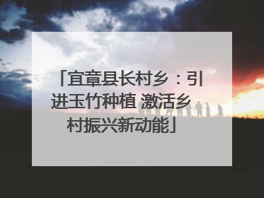 宜章县长村乡:引进玉竹种植 激活乡村振兴新动能