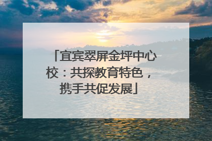 宜宾翠屏金坪中心校：共探教育特色，携手共促发展