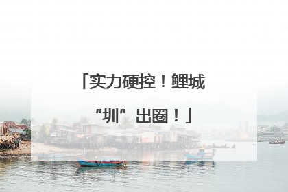 实力硬控！鲤城“圳”出圈！