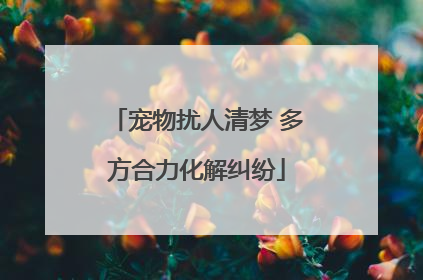 宠物扰人清梦 多方合力化解纠纷