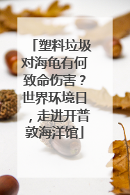 塑料垃圾对海龟有何致命伤害？世界环境日，走进开普敦海洋馆