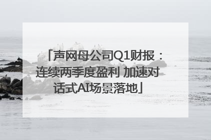 声网母公司Q1财报：连续两季度盈利 加速对话式AI场景落地