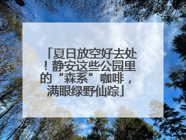 夏日放空好去处！静安这些公园里的“森系”咖啡，满眼绿野仙踪