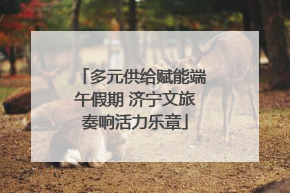 多元供给赋能端午假期 济宁文旅奏响活力乐章