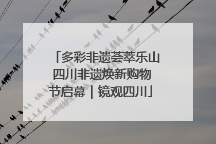 多彩非遗荟萃乐山 四川非遗焕新购物节启幕｜镜观四川