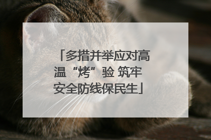 多措并举应对高温“烤”验 筑牢安全防线保民生