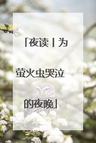 夜读丨为萤火虫哭泣的夜晚