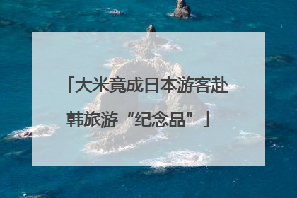 大米竟成日本游客赴韩旅游“纪念品”