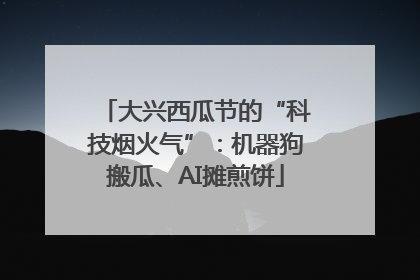 大兴西瓜节的“科技烟火气”：机器狗搬瓜、AI摊煎饼
