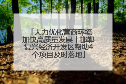 大力优化营商环境 加快高质量发展丨邯郸复兴经济开发区帮助4个项目及时落地