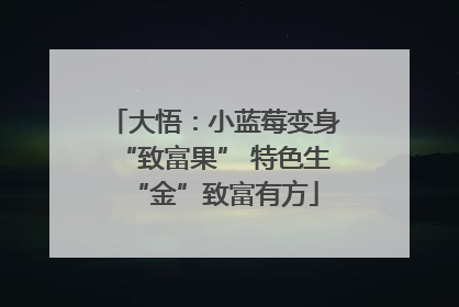 大悟：小蓝莓变身“致富果” 特色生“金”致富有方