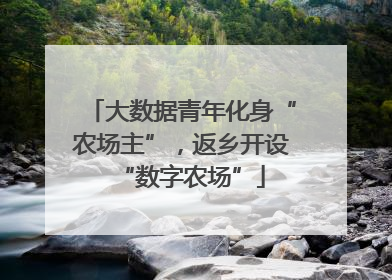 大数据青年化身“农场主”，返乡开设“数字农场”