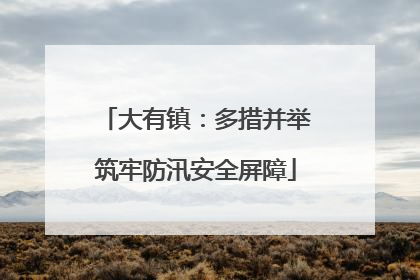 大有镇：多措并举筑牢防汛安全屏障
