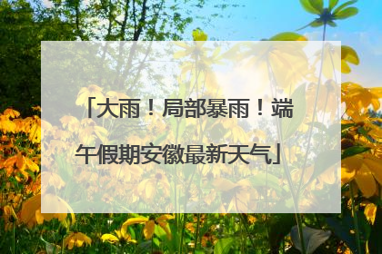 大雨！局部暴雨！端午假期安徽最新天气