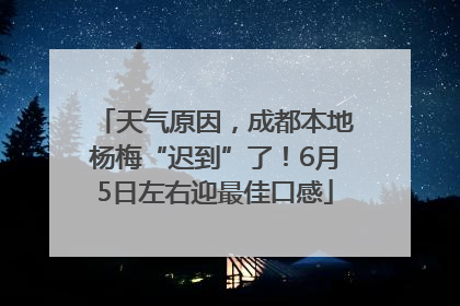 天气原因，成都本地杨梅“迟到”了！6月5日左右迎最佳口感