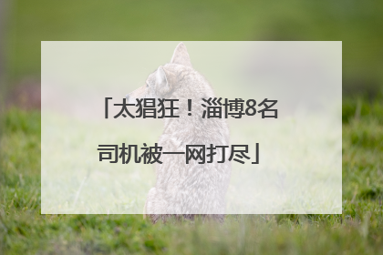 太猖狂！淄博8名司机被一网打尽