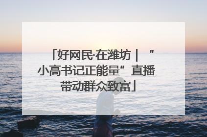 好网民·在潍坊｜“小高书记正能量”直播 带动群众致富