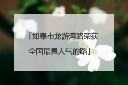 如皋市龙游湾路荣获全国最具人气的路