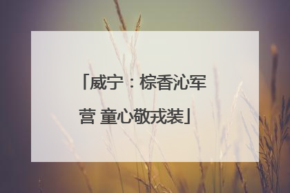 威宁：棕香沁军营 童心敬戎装