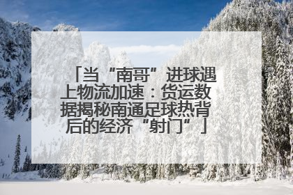 当“南哥”进球遇上物流加速：货运数据揭秘南通足球热背后的经济“射门”
