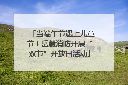 当端午节遇上儿童节！岳麓消防开展“双节”开放日活动