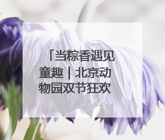 当粽香遇见童趣｜北京动物园双节狂欢指南来啦！
