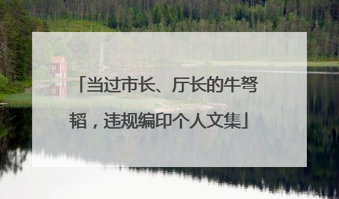 当过市长、厅长的牛弩韬，违规编印个人文集