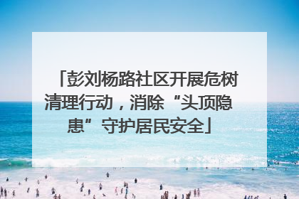 彭刘杨路社区开展危树清理行动，消除“头顶隐患”守护居民安全
