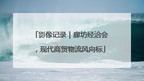 影像记录｜廊坊经洽会，现代商贸物流风向标