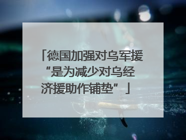 德国加强对乌军援 “是为减少对乌经济援助作铺垫”