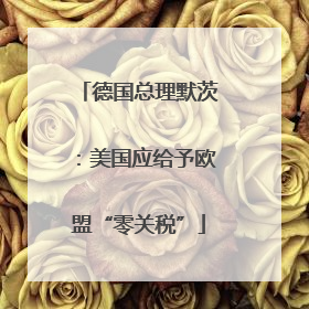 德国总理默茨：美国应给予欧盟“零关税”